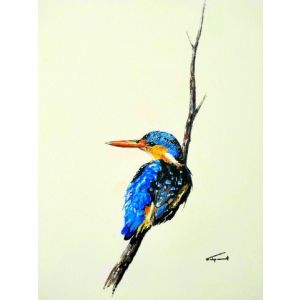 Card MALACHITE KINGFISHER  A6 SkillyArt