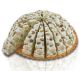 Quaranta Nougat Cake PISTACHIO 110g Wrap Made in Italy