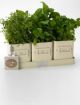 Burgon & Ball Jersey Cream Herb Pots in tray 