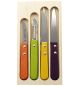 Jean Dubost Pradel 4 Kitchen Knife Gift Box Colours