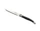 Laguiole Jean Dubost SINGLE Kitchen Chef Knife *Made in France