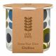 Wild and Wolf Orla Kiely Grow Your Own Chilies - Multi Flower Oval (No Chilies)