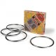 Wild & Wolf Ridley's Magic Linking Rings Tricks