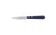 Jean Dubost Tradition Blue Chef Knife Small 17cm Beech FSC