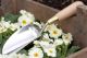 BurgonBall Sophie Conran Trowel (Boxed)