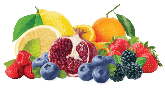 Le Preziose Italian Fruit Jellies Le Prezioze Italian Fruit Jellies